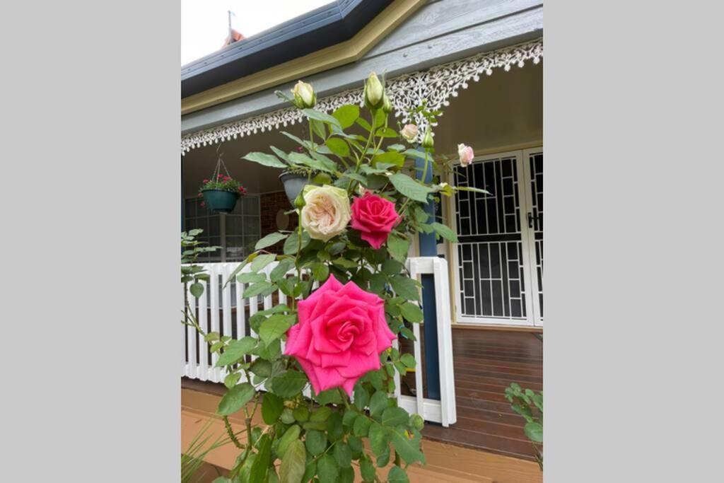 Mountain Living With Ocean Views Villa Mount Tamborine Buitenkant foto
